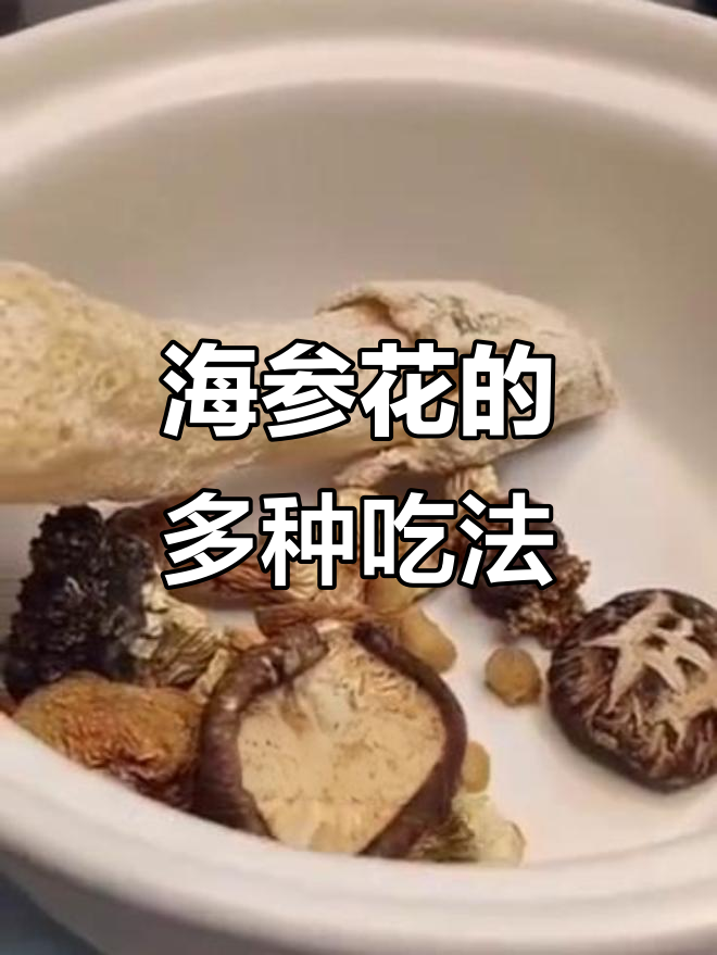 海参花富含营养,可凉拌熬粥或煲汤,干贝搭配更美味