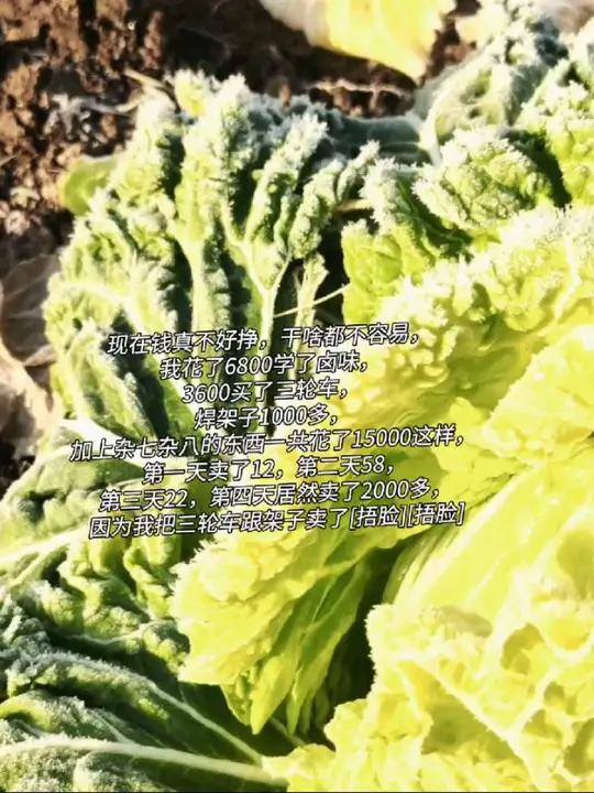 现在钱真不好挣,干啥都不容易,我花了6800学了卤味,3600买了三轮车,焊架子1000多