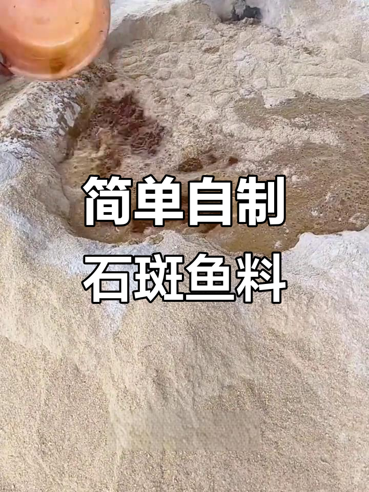 自制石斑鱼饲料,省钱又高效!