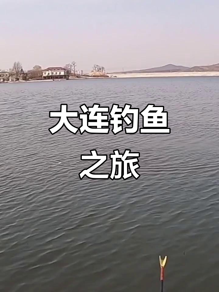2020年大连大盛水库钓鲫,鲤鱼同乐