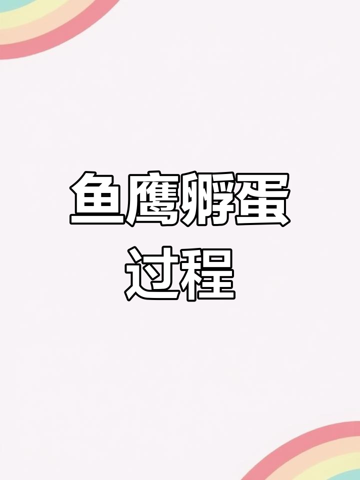 鱼鹰孵化全过程揭秘