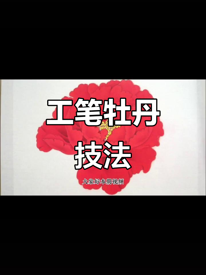 牡丹工笔画法,从基础到高级的色彩与技巧全解析