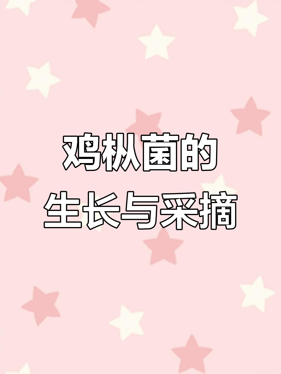 鸡枞菌:美味鲜甜,生长迅速的野生珍品