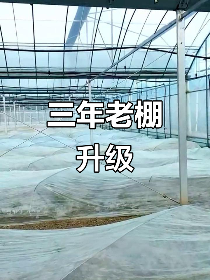 宿迁蔬菜大棚,三年经验,配备齐全设施