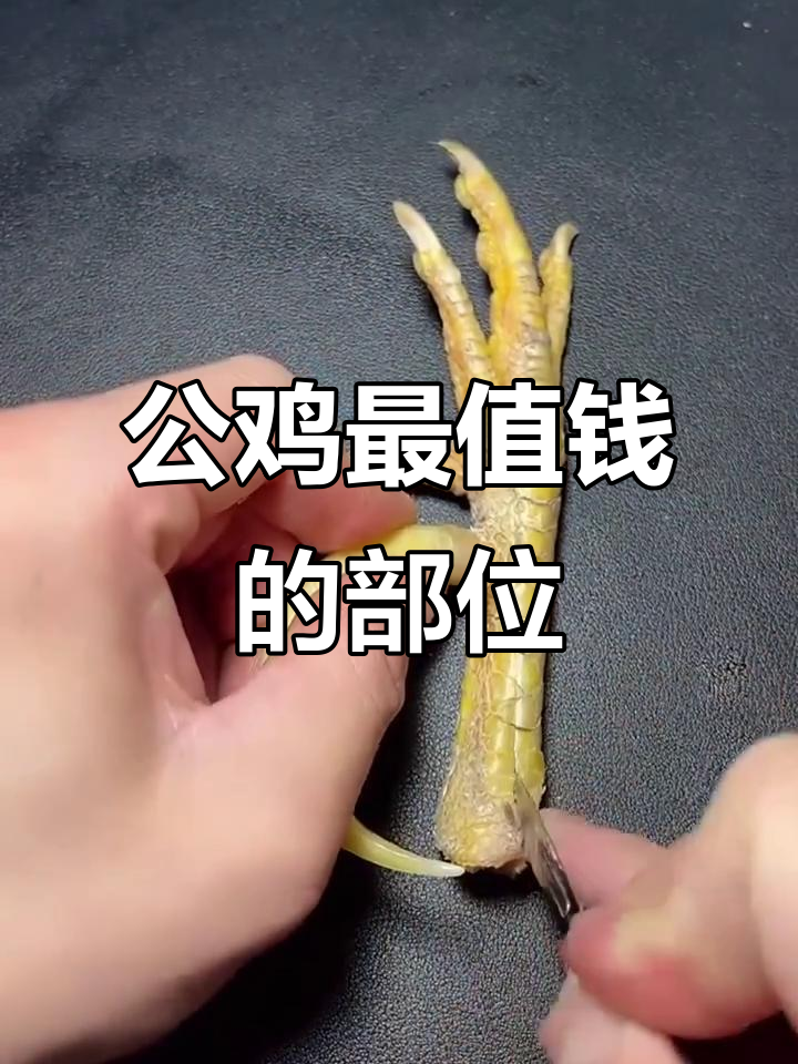 公鸡的“宝贝”你了解吗?一步登天大吉大利,竟是它!