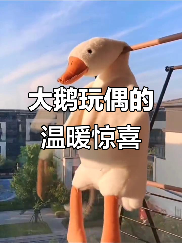闺蜜送的大鹅玩偶,软萌可爱到不行!