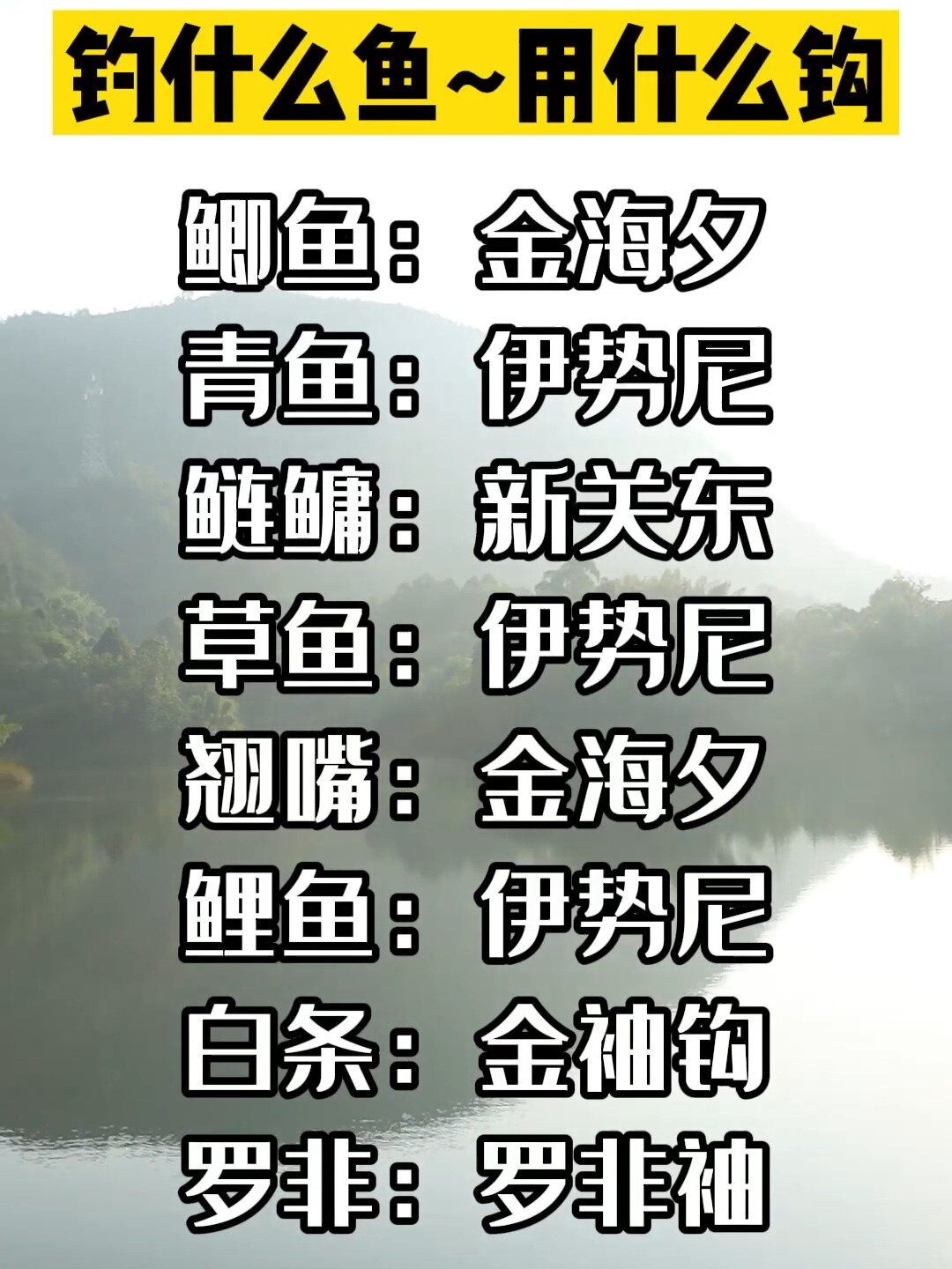 新手一定要学会怎么选择鱼钩的大小