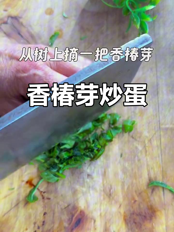 香椿芽炒鸡蛋,简单又美味!
