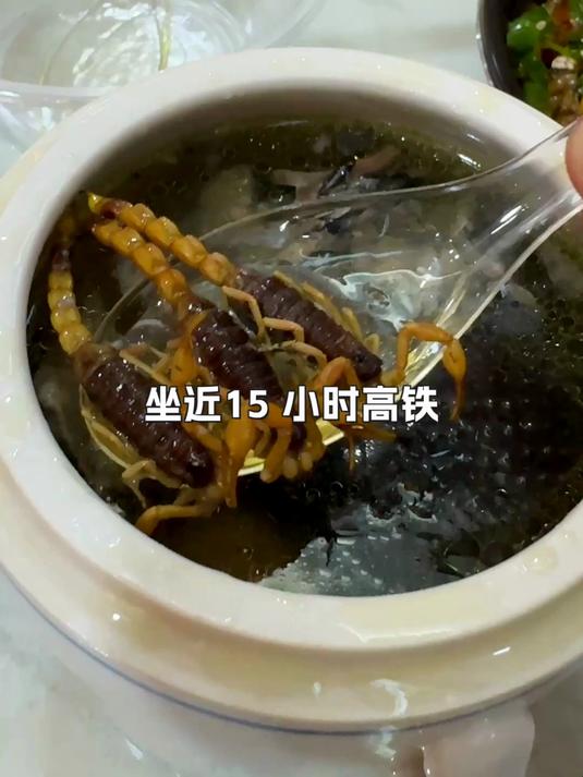坐高铁去顺德狂炫 15 顿