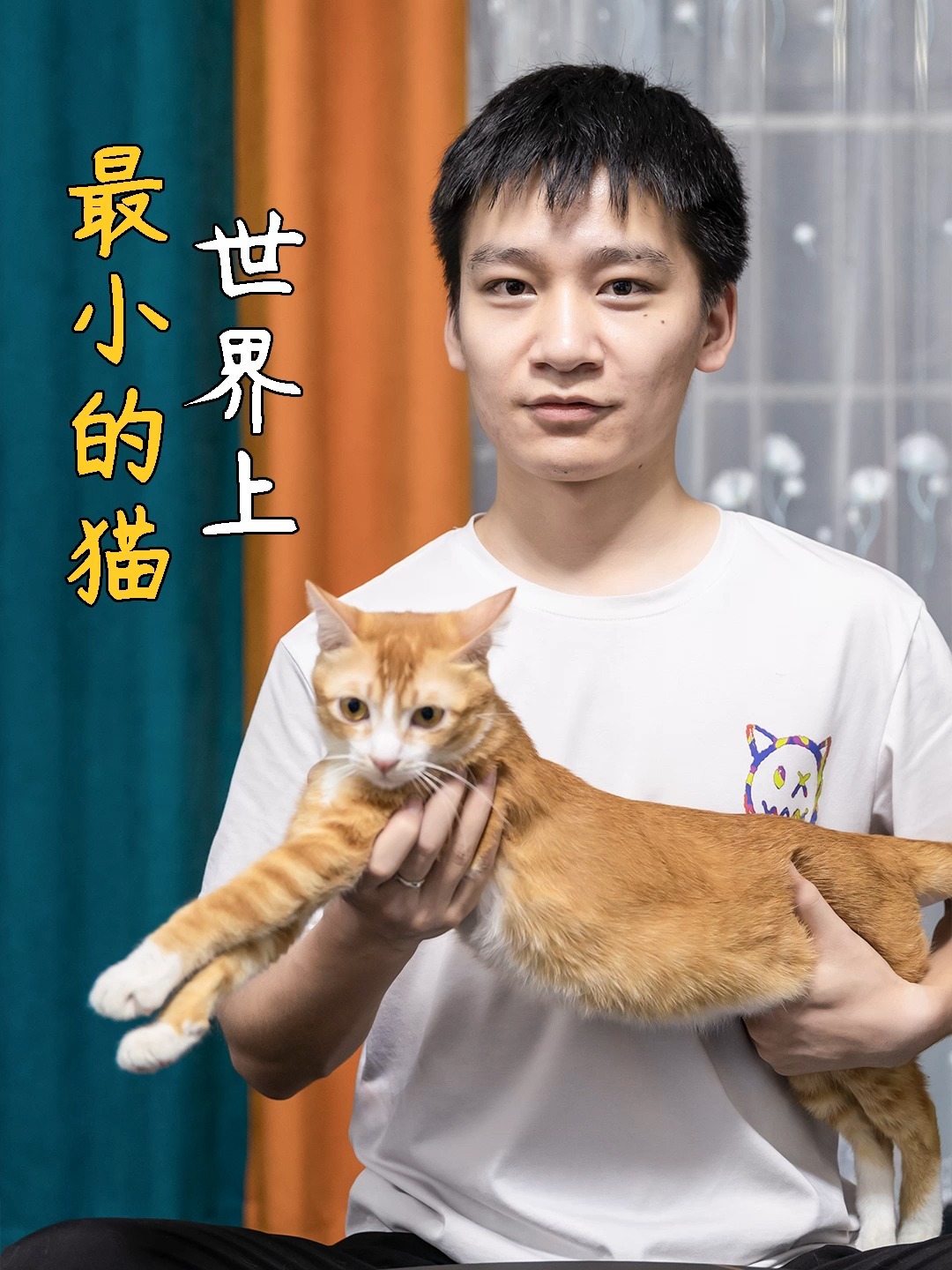 世界上最小的猫竟然只有巴掌大小?