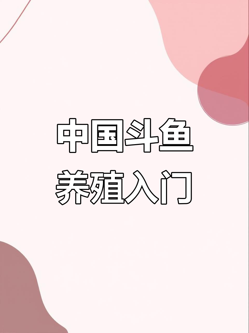 轻松养鱼,快乐繁殖!中国斗鱼的养殖技巧与乐趣
