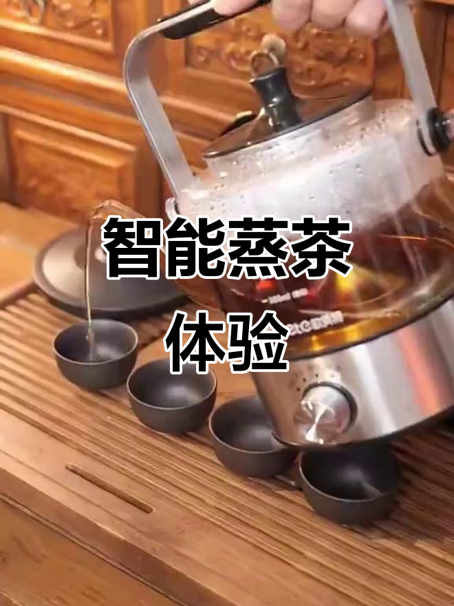 选对煮茶器,享受完美口感!德国科技加持,蒸汽更醇厚