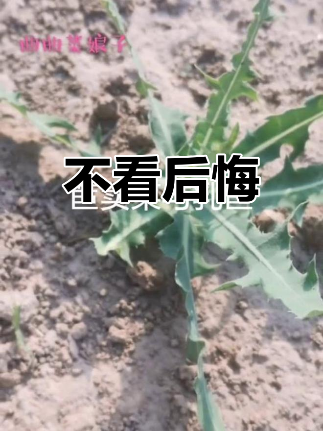 抖音短视频,点开看看!