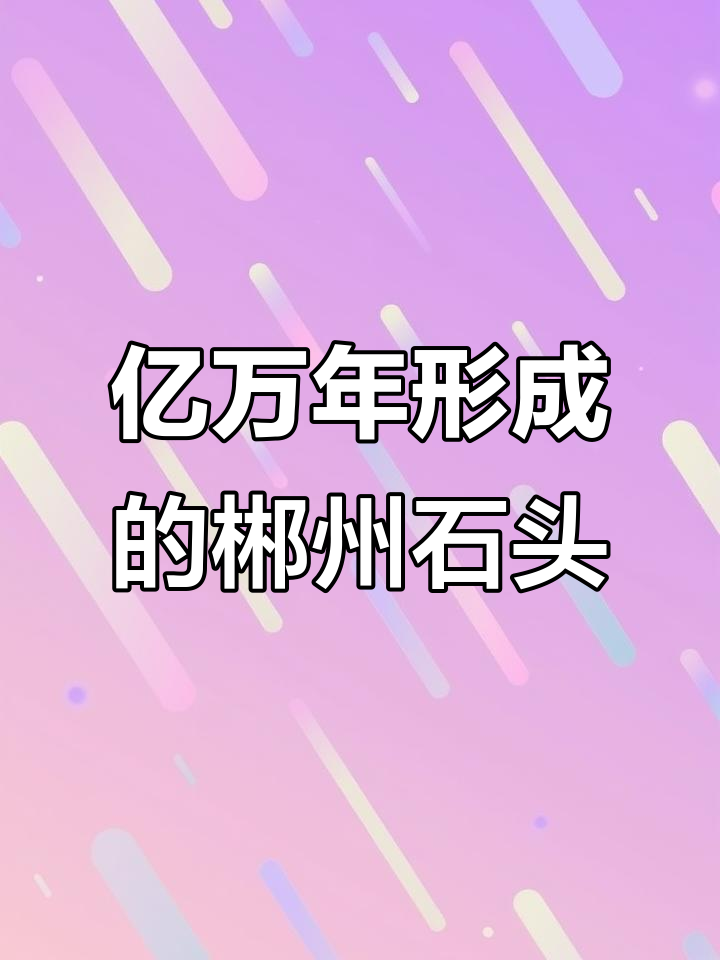 郴州长寿石与龟纹石的亿万年前之谜,自然奇观揭秘