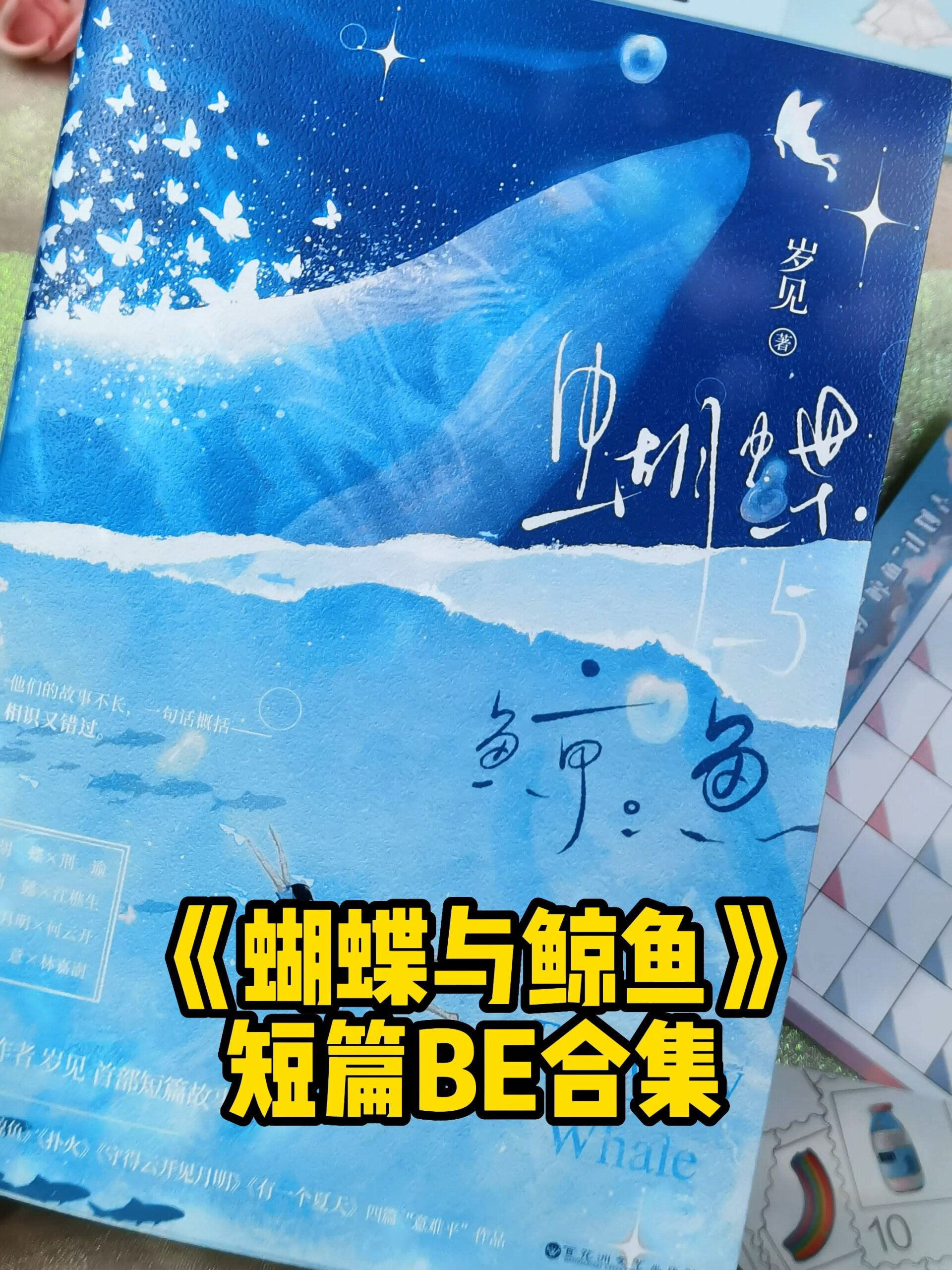 《蝴蝶与鲸鱼》