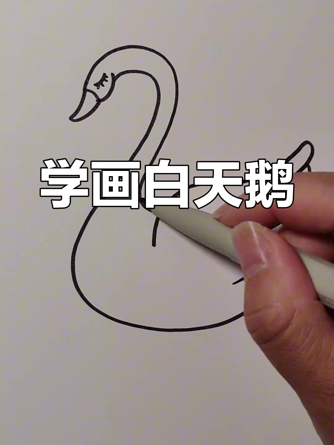 简单步骤画出白天鹅
