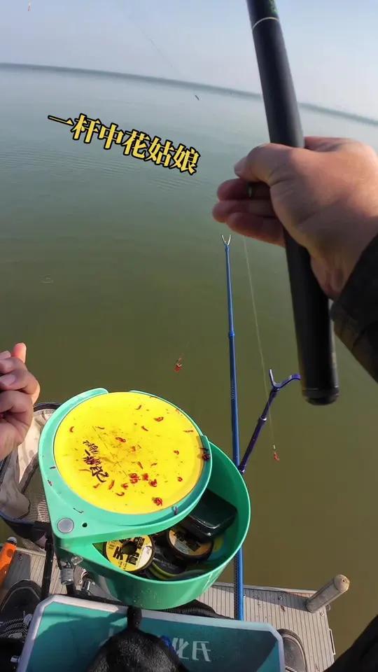 宿迁骆马湖大平台，花骨鱼连杄