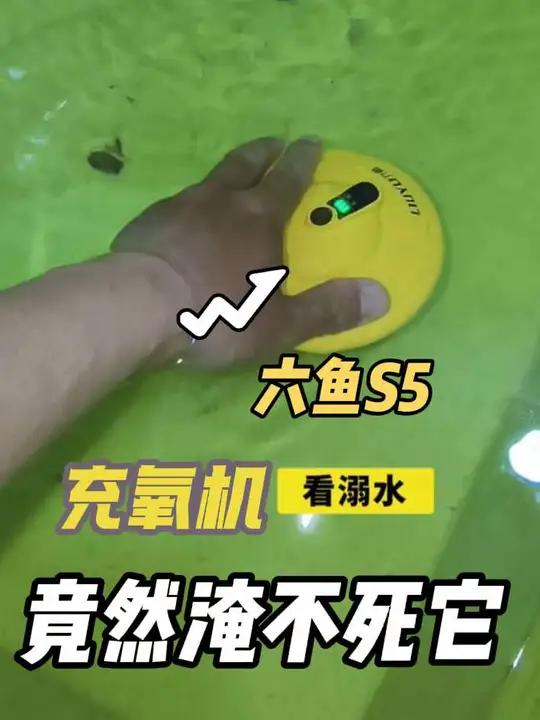 敢洗澡的充氧机见过吗?六鱼飞碟浮水充氧机,科技感满满的 充氧机六鱼六鱼新品渔具用品好物推荐