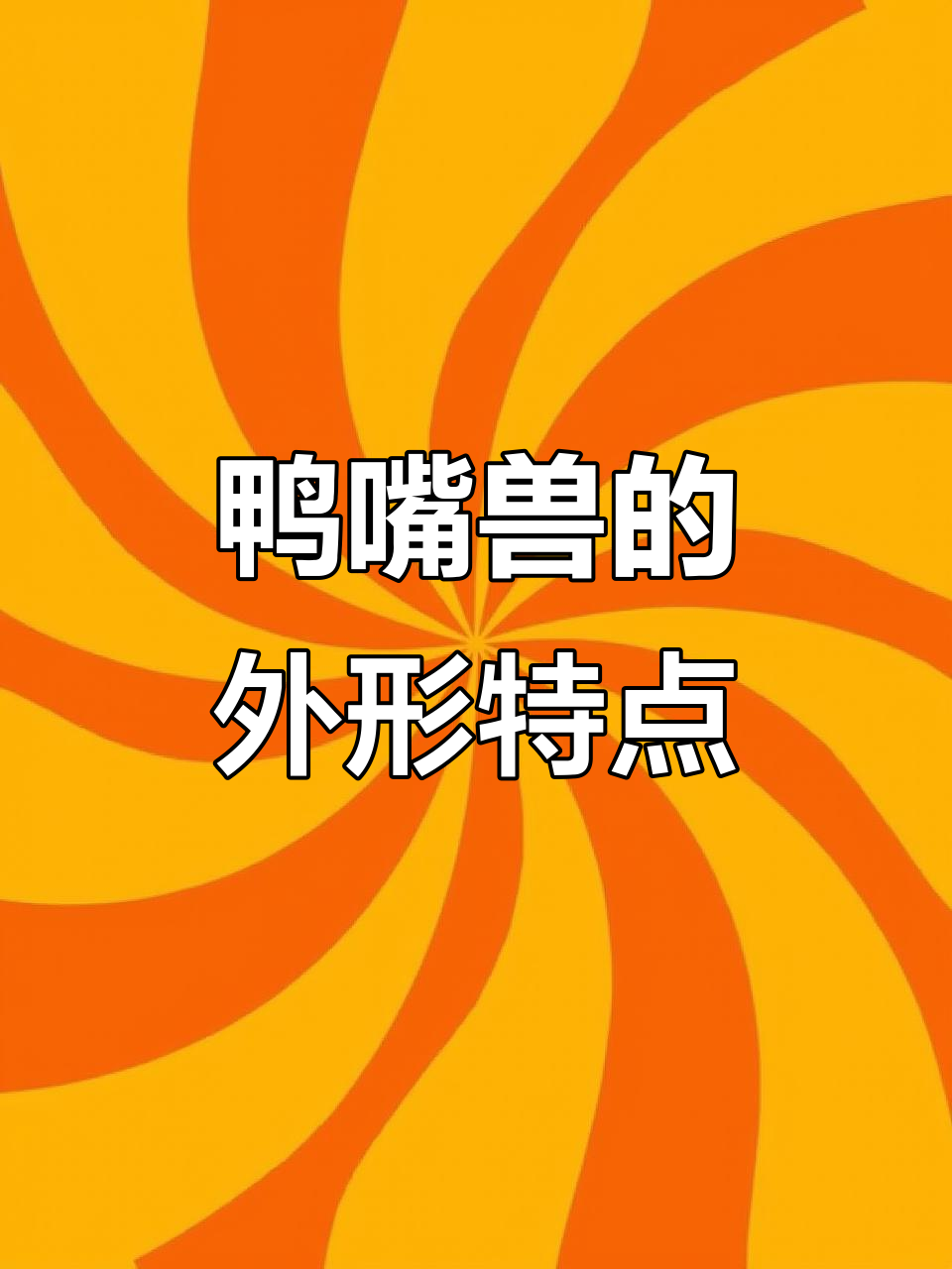 鸭嘴兽的奇特外形与独特生活习性,揭秘澳洲神秘动物