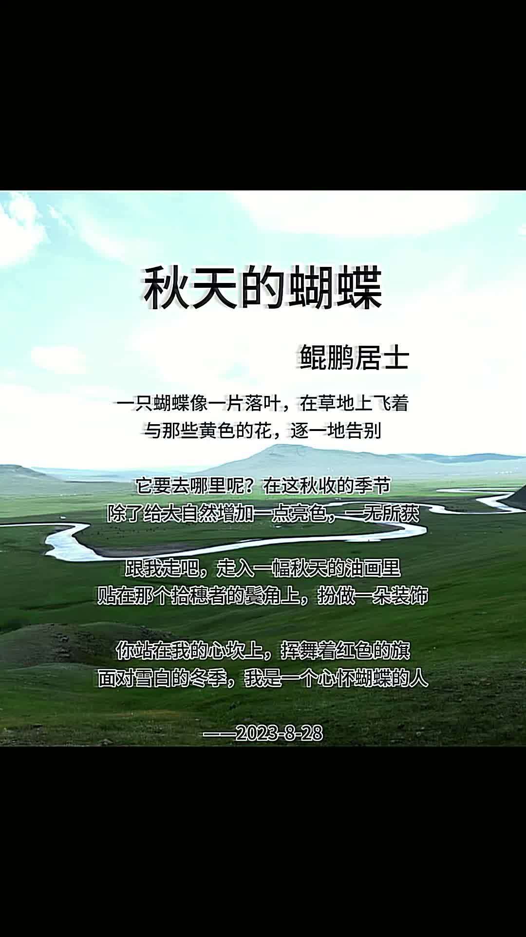 我是一个心怀蝴蝶的人 原创作品 生活感悟 诗词 心有一首诗足以慰风尘