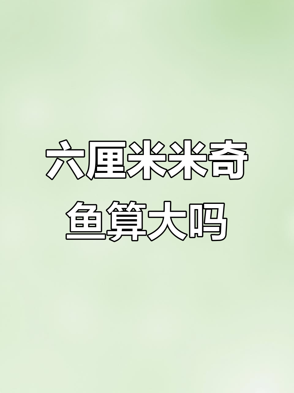 这条六厘米的米奇鱼,算不算巨型?