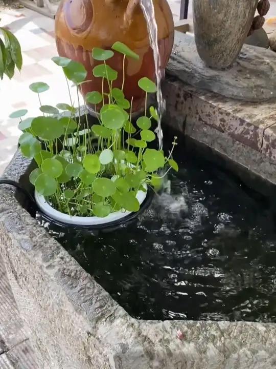 铁艺优选花架栏杆花架护栏挂式花盆架悬挂吊篮架摆放阳台置物架挂式花盆花架阳台花卉绿植盆栽花架