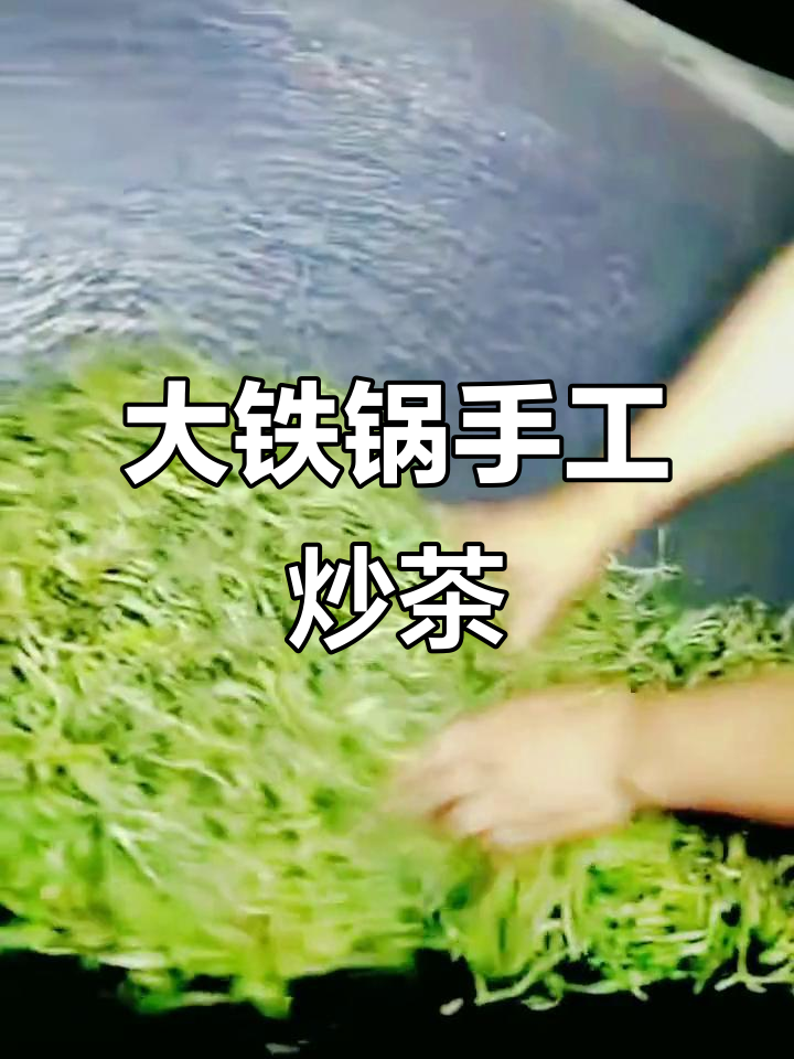 铁锅炒茶,景谷古树狗熟茶的独特工艺