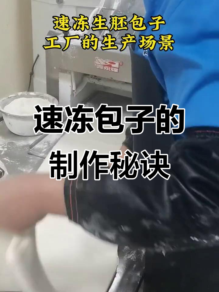速冻包子生产揭秘:真材实料打造美味早餐