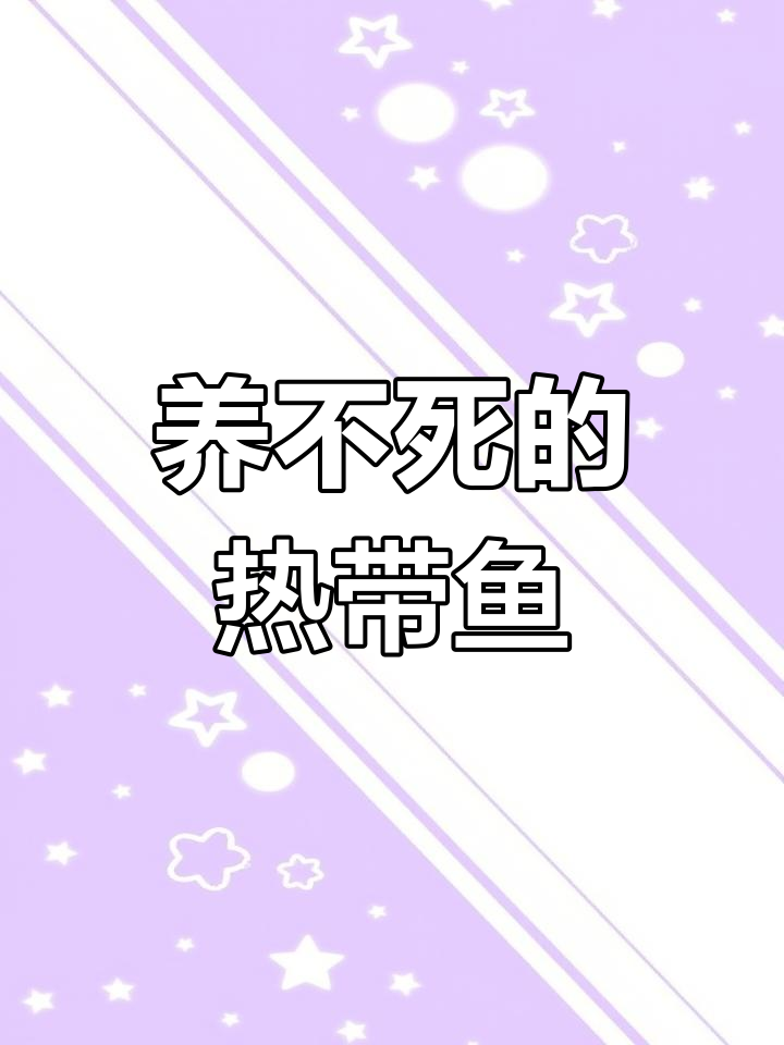 九种养不死的热带鱼,看看哪种最适合你