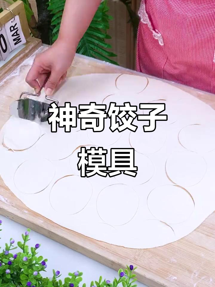 这款模具让包饺子更简单，随心所欲做出各种口味！