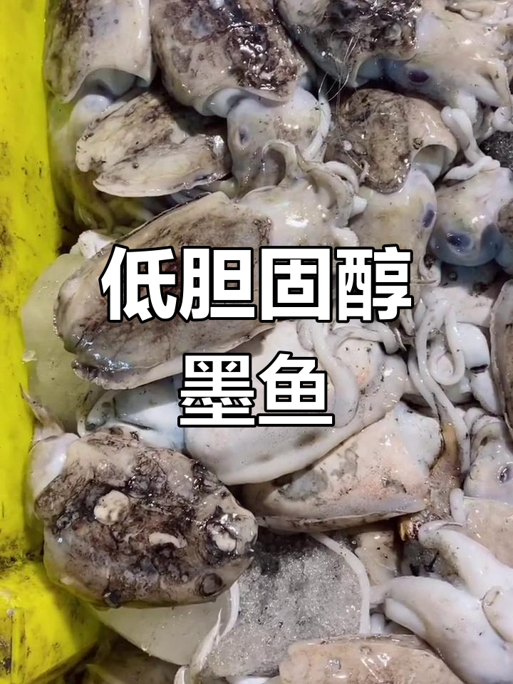 墨鱼比鱿鱼更健康,低胆固醇美味享受