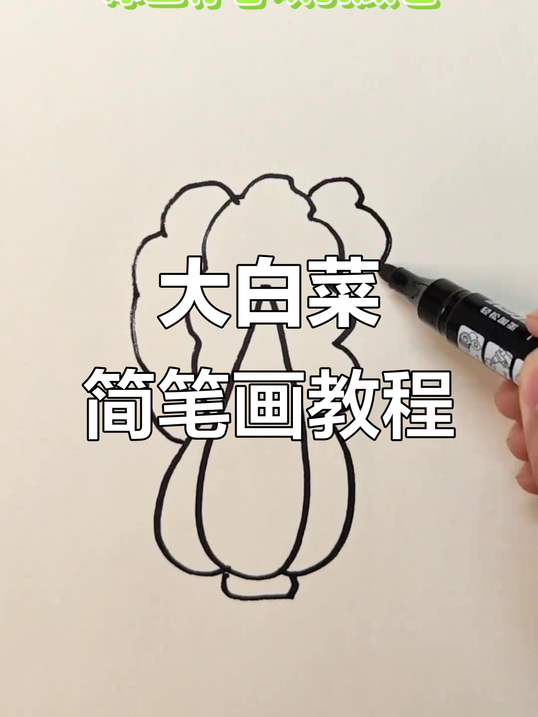 轻松学画大白菜,步骤简单又有趣