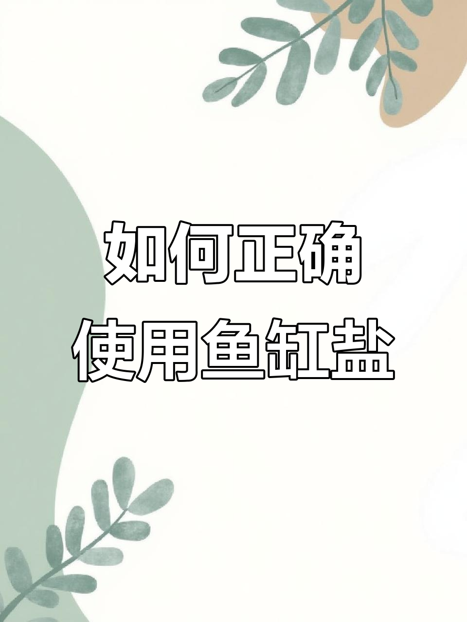 鱼缸加盐的正确时机与用量,保持水质健康