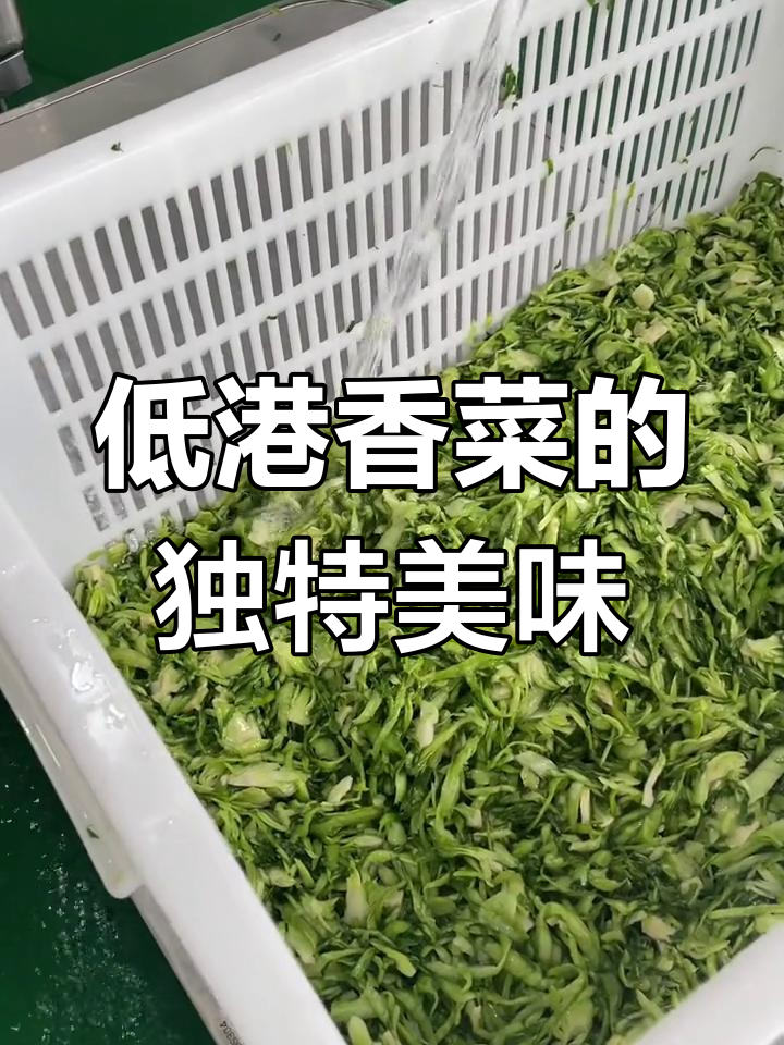 荻港香菜:开胃下饭的家乡味,中秋必备美食