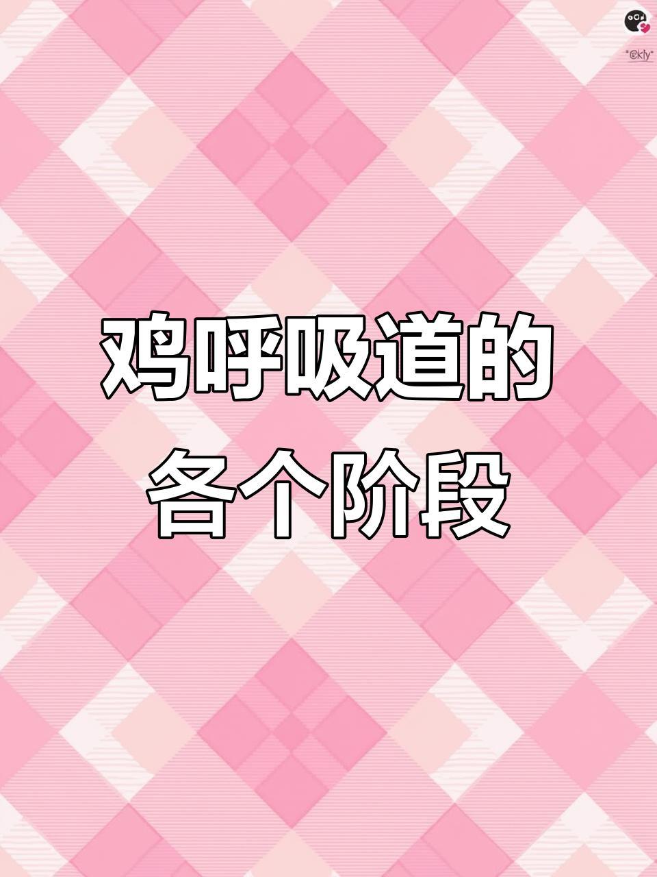 鸡呼吸道解剖全解析:从伸脖子到质补的每个阶段
