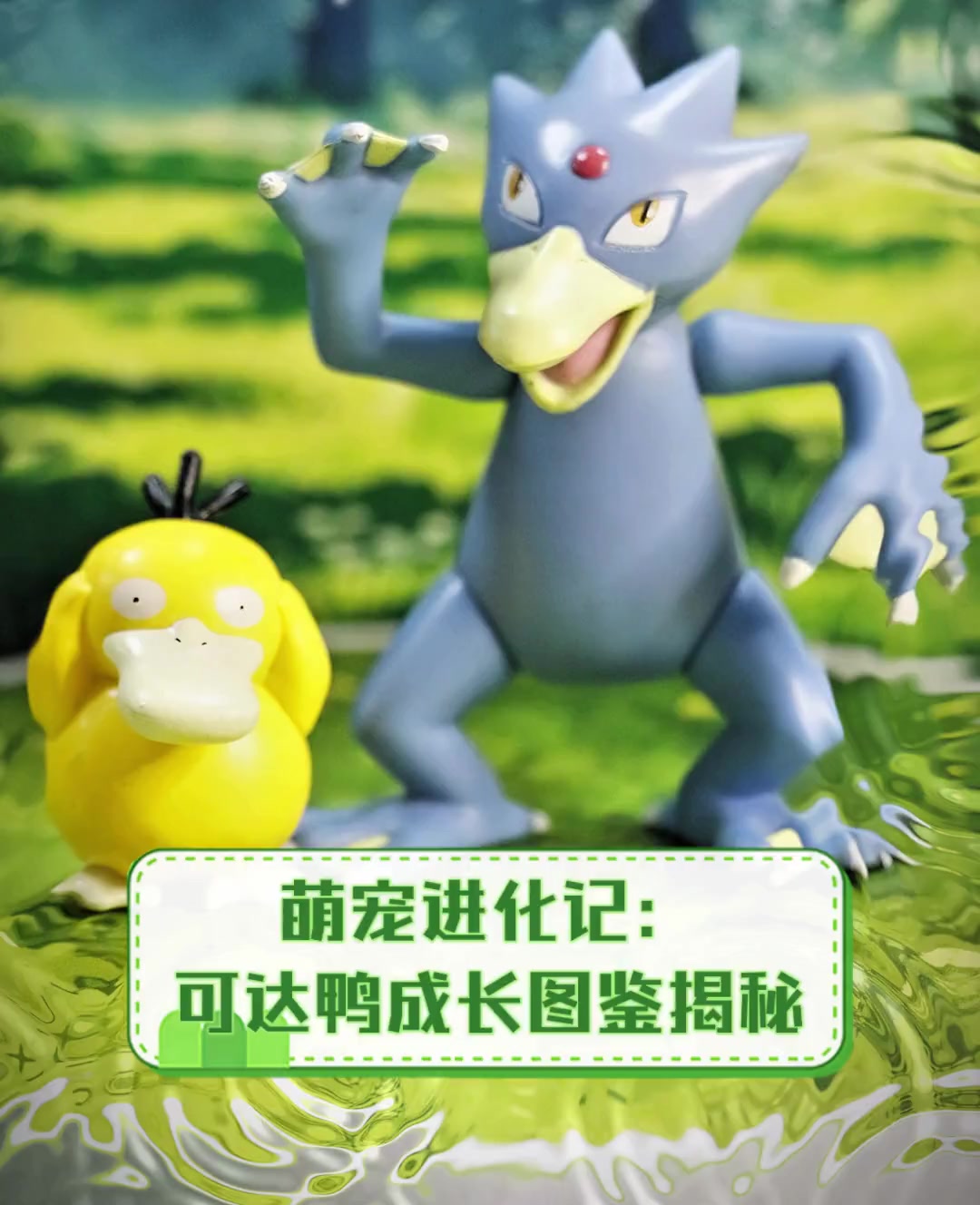 萌宠进化记:可达鸭成长图鉴揭秘