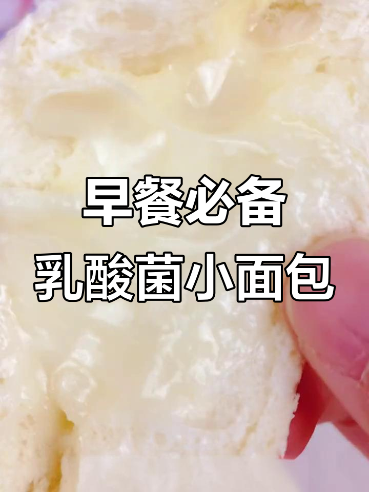 每天早餐来不及吃?这款乳酸菌小面包让你轻松搞定