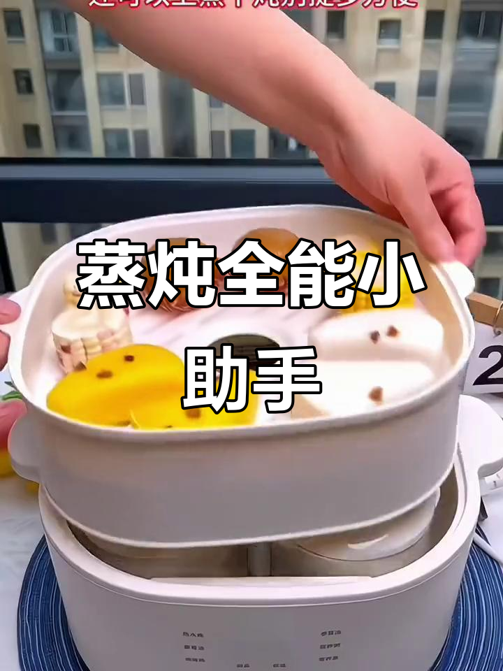 小浣熊蒸汽锅,炖汤煮粥辅食一体,陶瓷内胆更健康