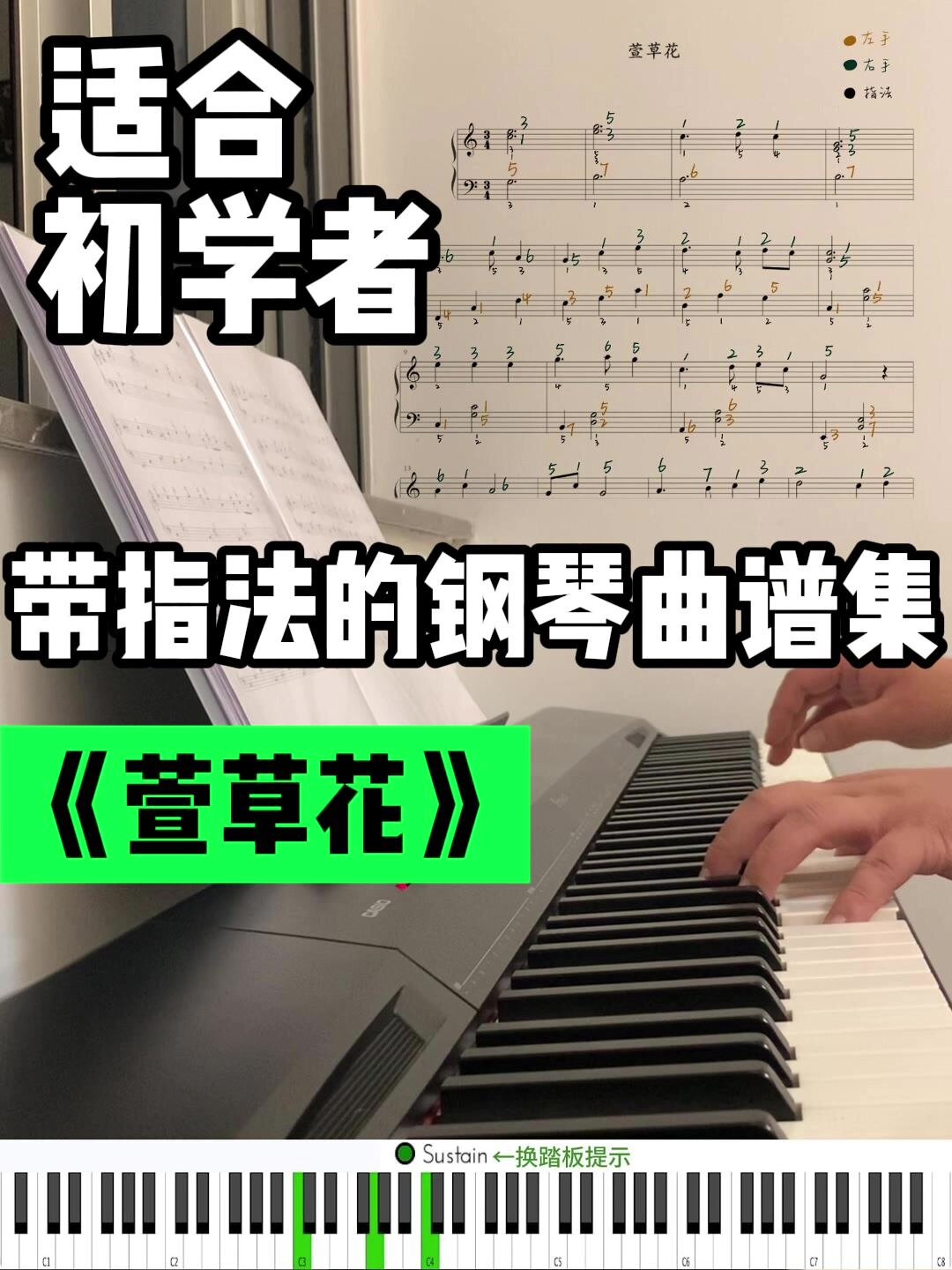 《萱草花》适合初学者的带指法钢琴谱!
