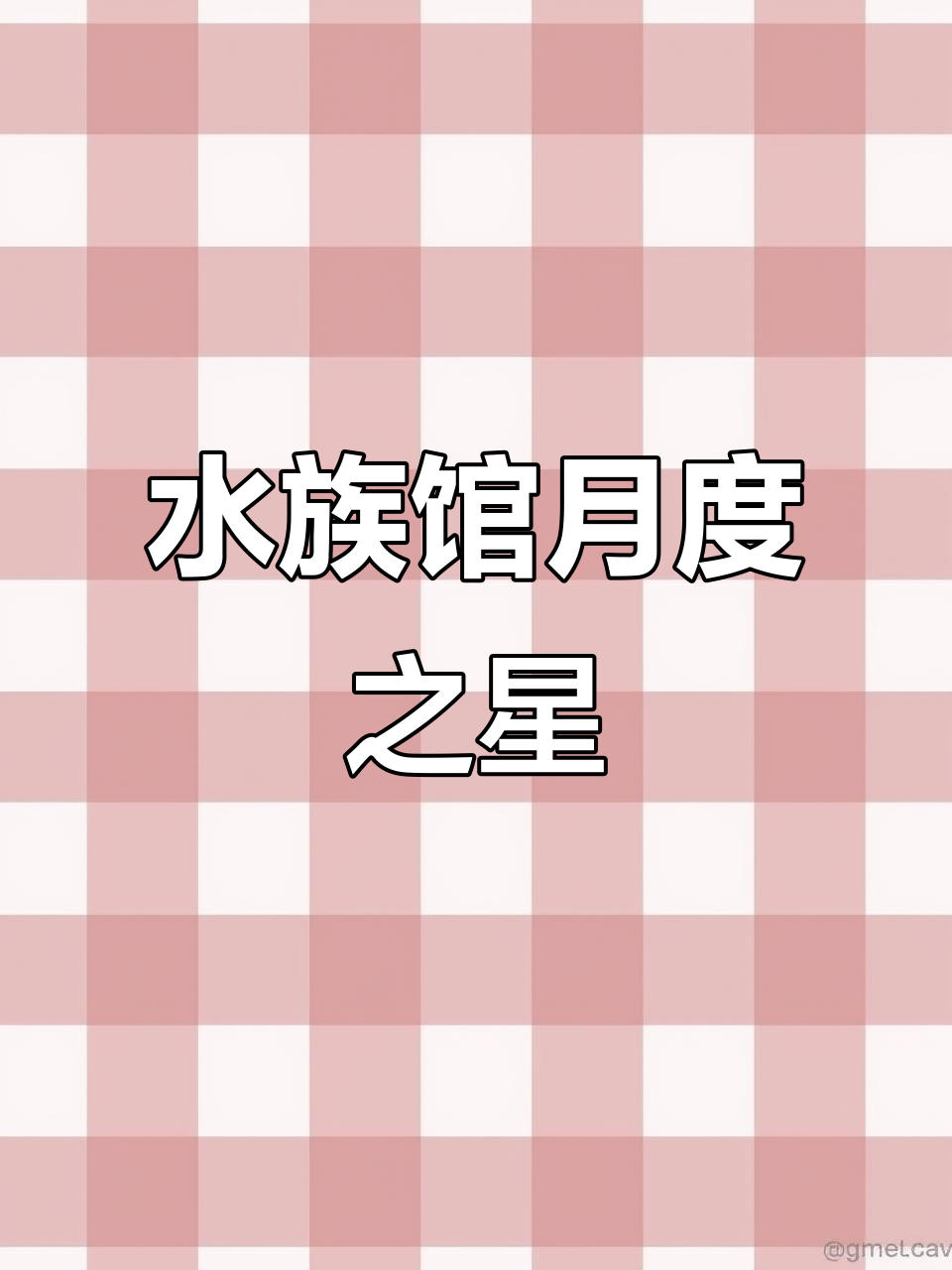 8月水族馆明星鱼,快来投票支持你最喜欢的吧!