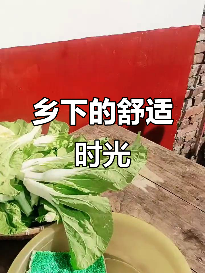 乡下生活真舒服,太阳照着洗菜做饭