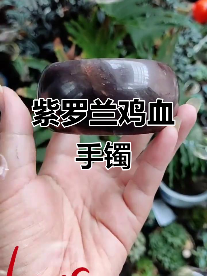 紫罗兰鸡血红轮胎镯,冰透水润佘太翠