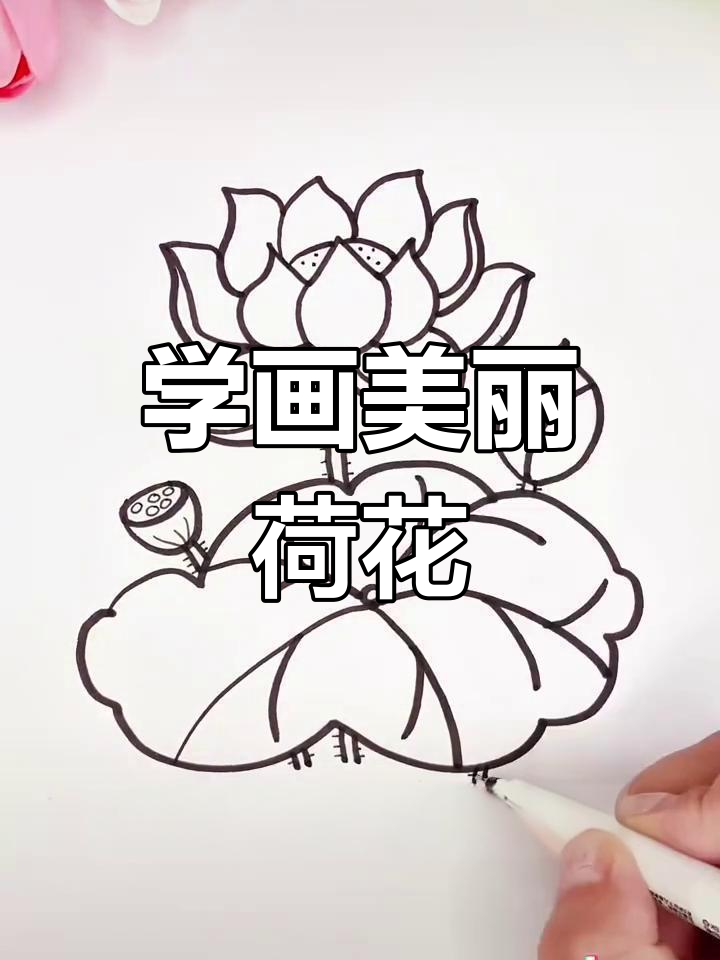 简单荷花简笔画教程,轻松学会