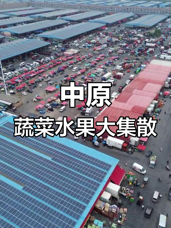 郑州万邦国际批发城:中原最大蔬果海鲜市场