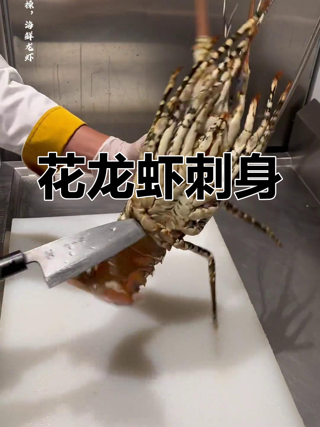 口感鲜美的花龙虾刺身,头尾煲粥清甜可口