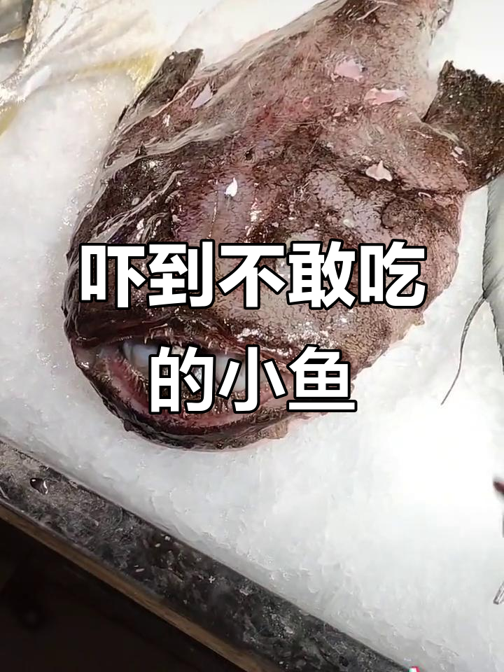 小柏林的“恐怖”鱼,竟然吃了这么多小金鱼!