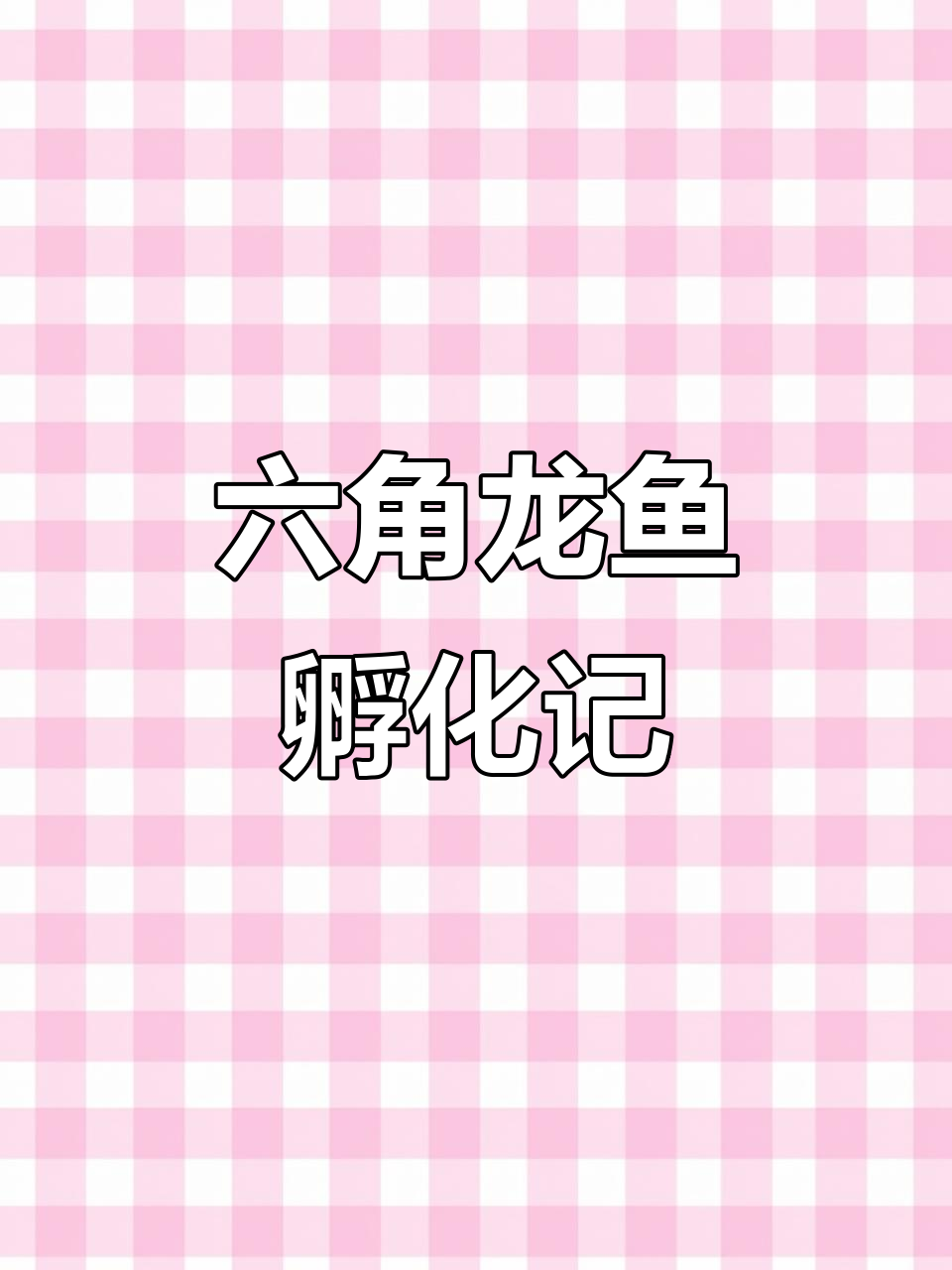 观察六角恐龙鱼产卵后，半个月内孵化结果揭晓！