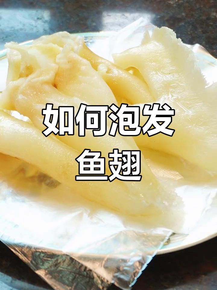 鱼翅泡发全攻略