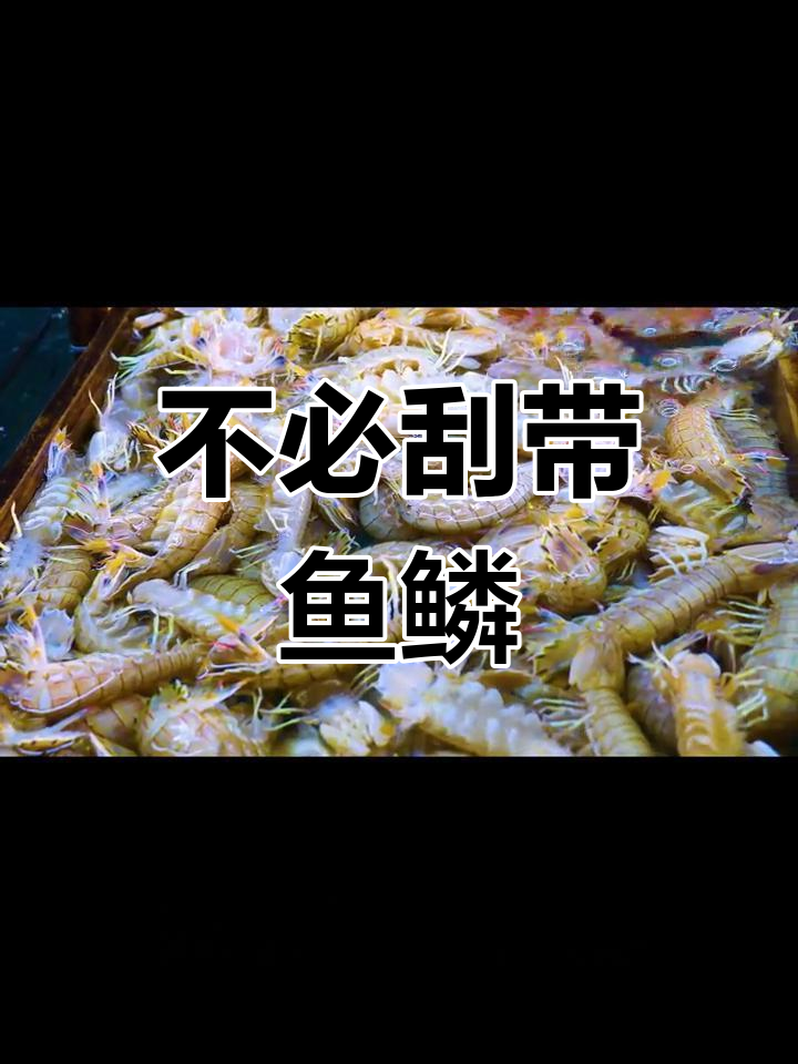 带鱼鳞片的营养价值