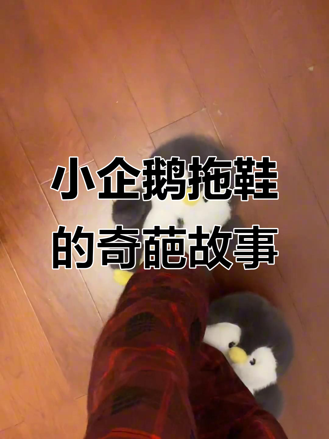 穿上小企鹅拖鞋,竟然褪色了!冬季必备棉鞋搞笑体验
